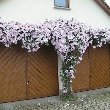 Am Alten Berg Apartment *